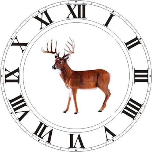 Best Hunting Times app reviews download