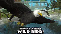 ultimate bird simulator iphone images 1