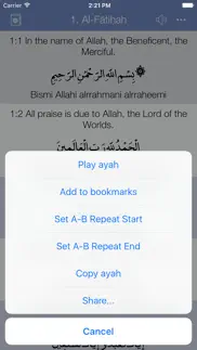 memorize - explore the quran iphone resimleri 2