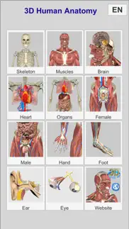 3d anatomy iphone images 3