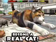 ultimate cat simulator ipad resimleri 1