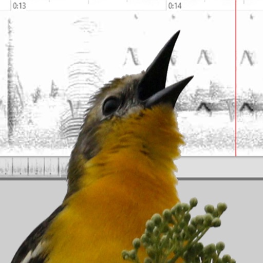 Bird Vocs Learn Bird Sounds app reviews download