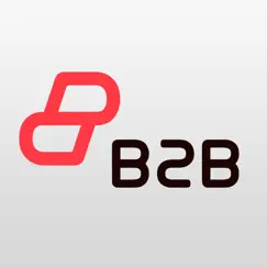 b2b box revisión, comentarios