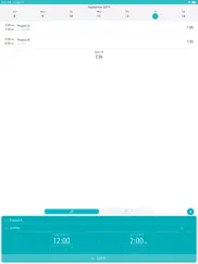 timesheet - time tracker iPad Captures Décran 2