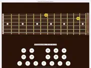 bass sight reading trainer ipad images 4