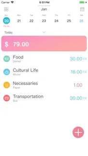 wesave - budget, money tracker iphone images 1