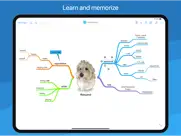 simplemind pro - mind mapping ipad images 2