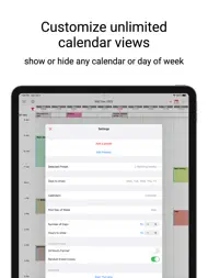 Week Calendar Pro ipad bilder 2