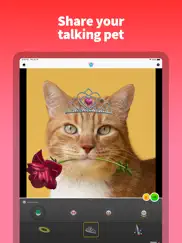 my talking pet ipad images 2