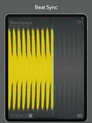 wavescope auv3 ipad capturas de pantalla 2
