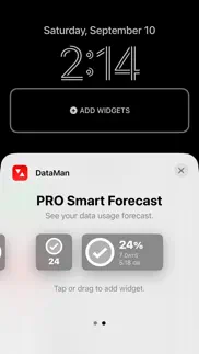 dataman - data usage widget iPhone Captures Décran 2