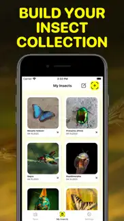 bug identifier app - insect id iphone images 3