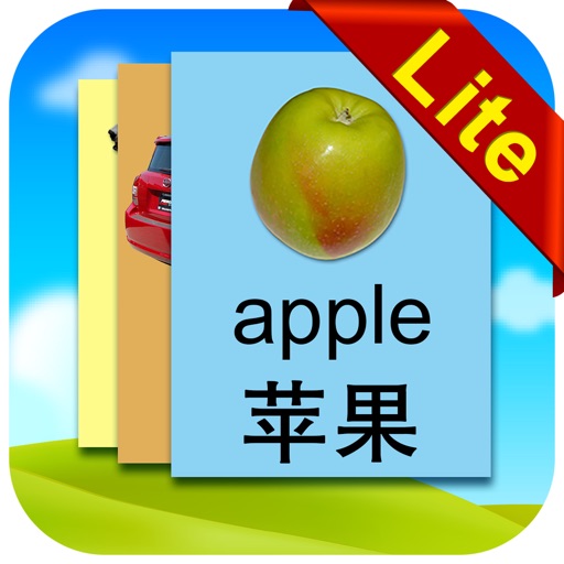 Chinese Flashcards Lite app reviews download