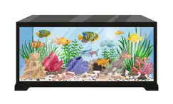 aquarium real time : 4k logo, reviews