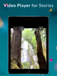 story viewer + saver by picuki ipad images 3