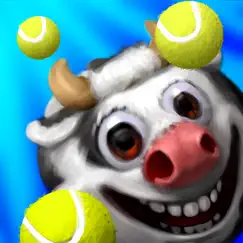 the crazy tennis logo, reviews