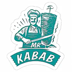 mr kebab-online commentaires & critiques