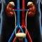 Genitourinary System Trivia anmeldelser