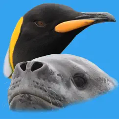 antarctic wildlife guide logo, reviews
