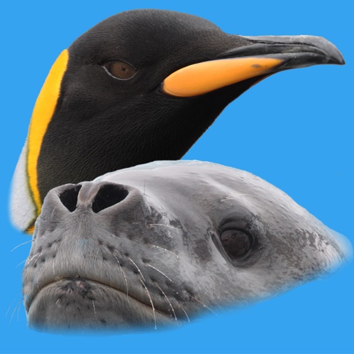 Antarctic Wildlife Guide app reviews download