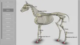 3d horse anatomy software iphone bildschirmfoto 3