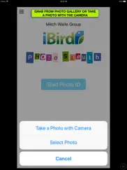 ibird photo sleuth ipad images 3