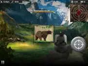 black bear target shooting ipad images 1