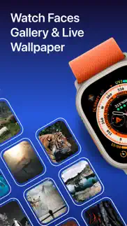 watch faces gallery wallpapers iphone images 1