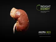 insight kidney ipad images 1