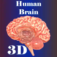 human brain logo, reviews