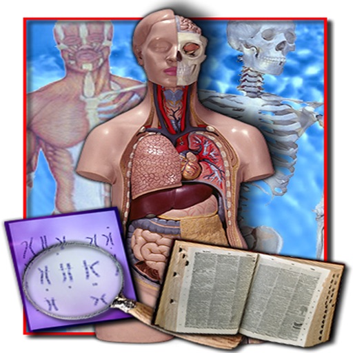 Medical Terminology Quizzes app reviews download
