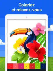 pixel art - coloriage iPad Captures Décran 1