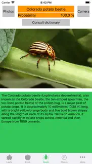 plant diseases and pests iphone images 3