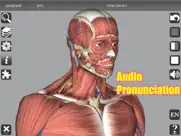 3d anatomy ipad images 3