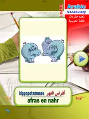 learn arabic vocabulary ipad images 4