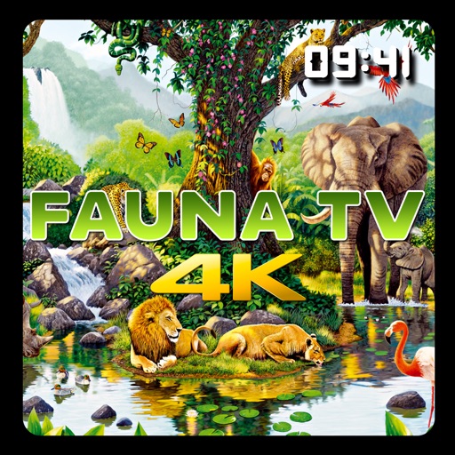 Fauna TV app reviews download