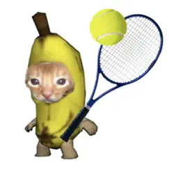 cat tennis battle logo, reviews