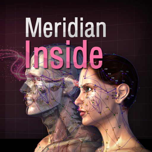 the meridian inside inceleme, yorumları