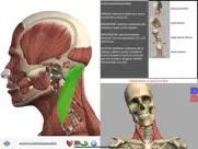 visual anatomy ipad capturas de pantalla 1