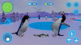 pingouin simulator arctic bird iPhone Captures Décran 1