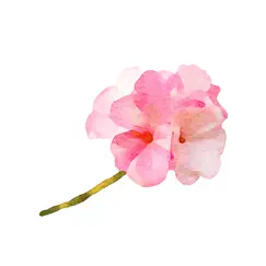 watercolor flower sticker logo, reviews