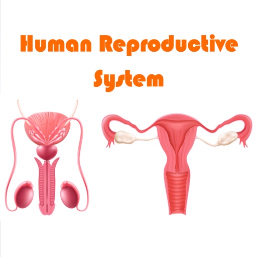 Human Reproductive System app reviews download