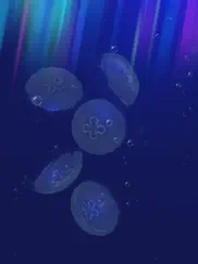 jellyfishgo - appreciation ipad images 3
