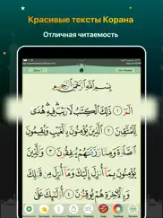 Коран Маджид – القرآن المجيد айпад изображения 1
