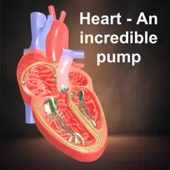 heart - an incredible pump logo, reviews