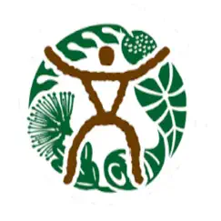 hawaiiair logo, reviews