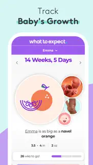 pregnancy & baby tracker - wte iphone images 1