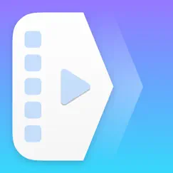 the video converter logo, reviews