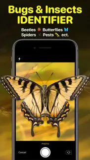 bug identifier app - insect id iphone images 1