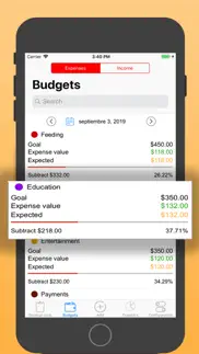 budget control of expenses iphone images 3